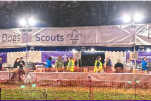 Successful fundraising at Stray Bonfire